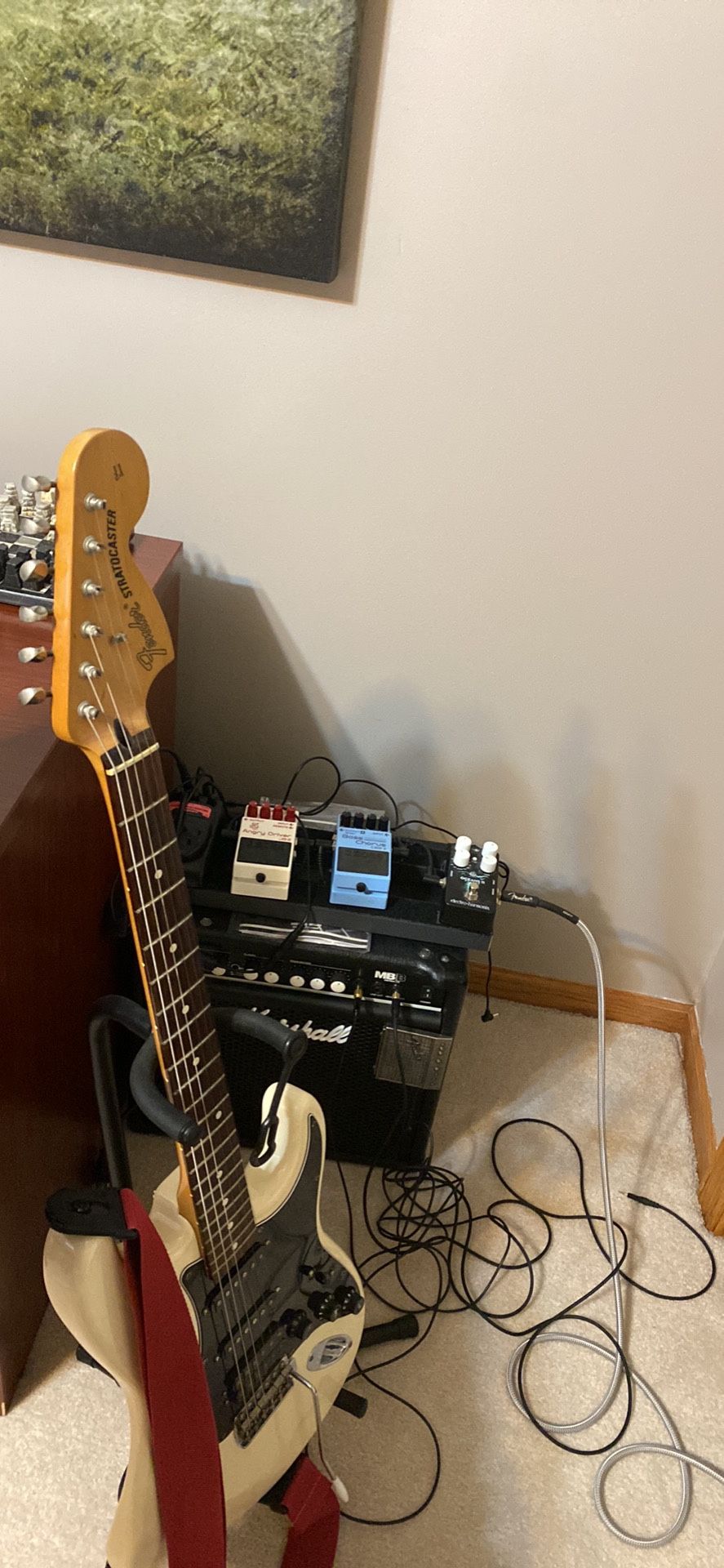 Fender Stratocaster