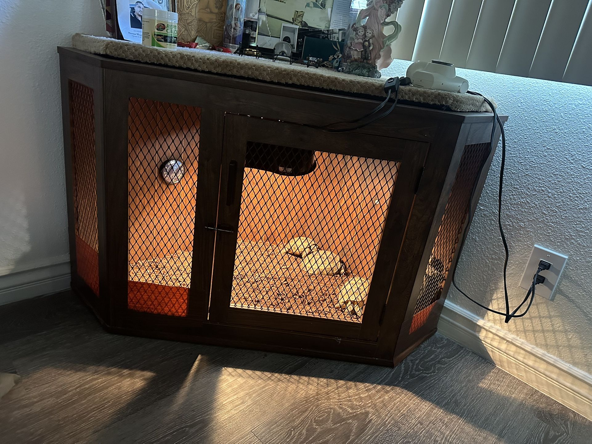 Tortoise House