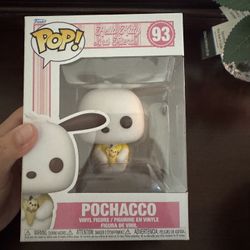 Hello Kitty Pochacco