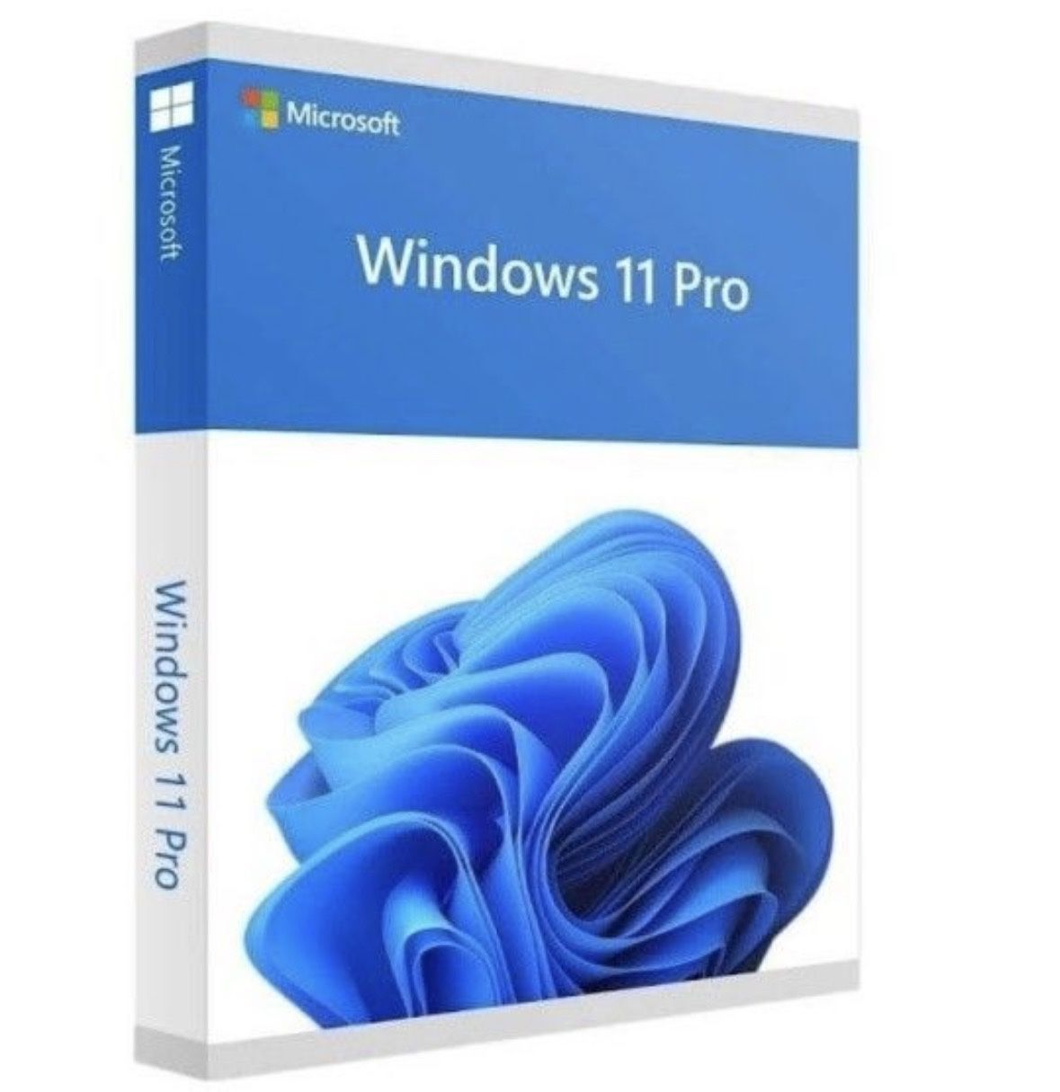 Windows 11 Pro