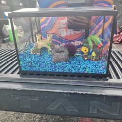 10 Gallon Aquarium