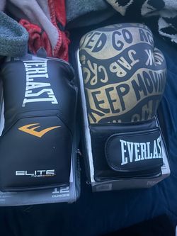 Everlast boxing gloves