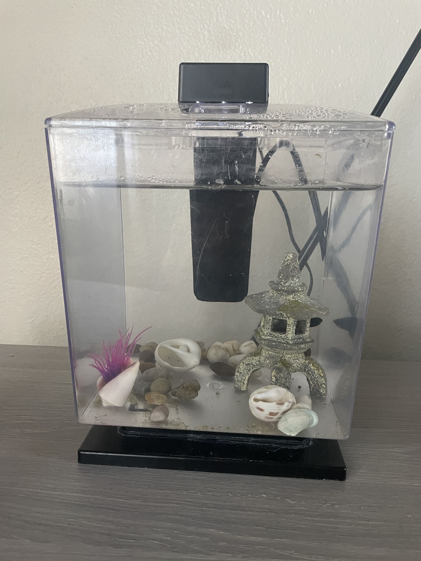Aquarium