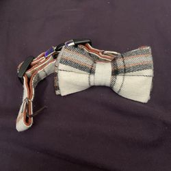 Small Dog Collar