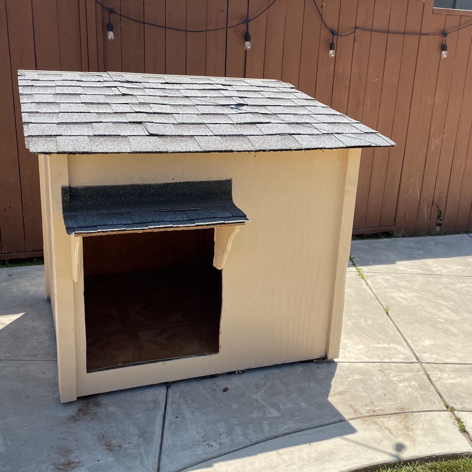 Dog House 