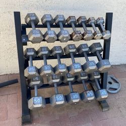10-50lb Dumbbell Set 