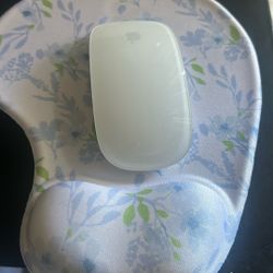 Apple Mouse And Mouse Pad 
