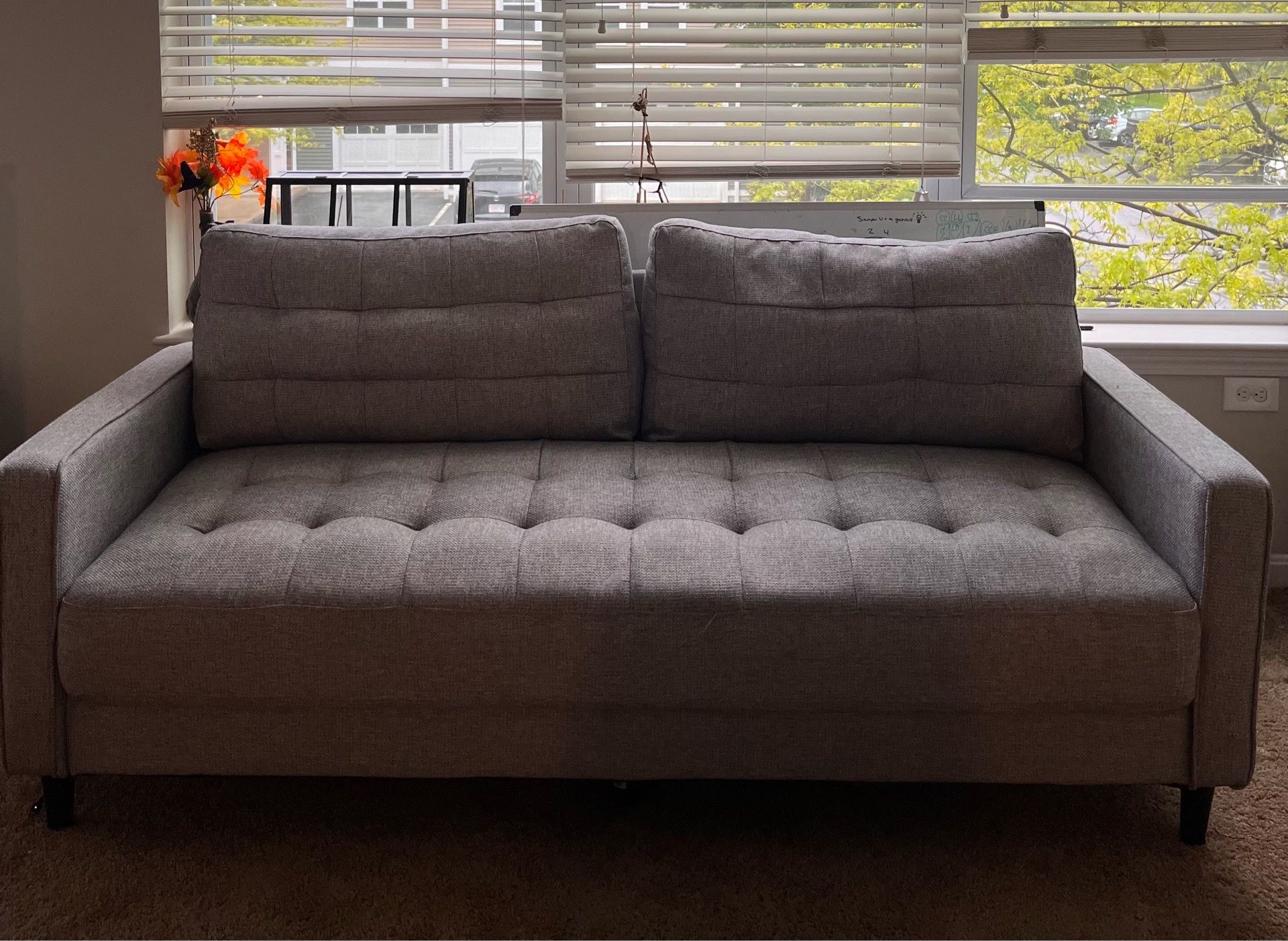 Gray Couch