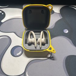 Beats Powerbeats Pro Wireless Earphones