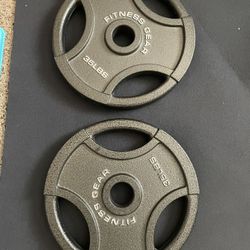 Weights - Pair of  35lbs 