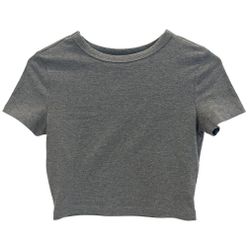 Wild Fable Womens S Fitted Short Sleeve T Shirt Gray Cropped