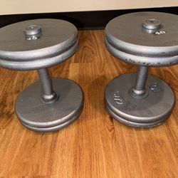 40 lbs Dumbbells