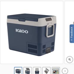Igloo Electric Cooler