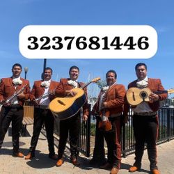 Vihuela Violín Mariachi