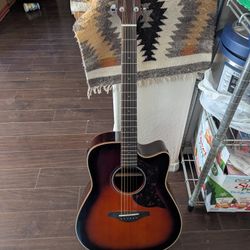 Acoustic Guitar 