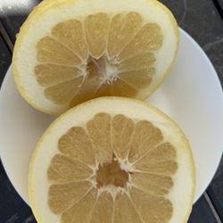 Organic Oroblanco Citrus 