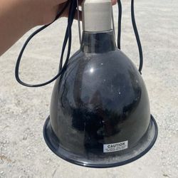 Reptile Heat Lamp