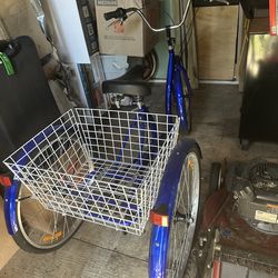 Adult Tricycle Cuiser Blue 24 inch