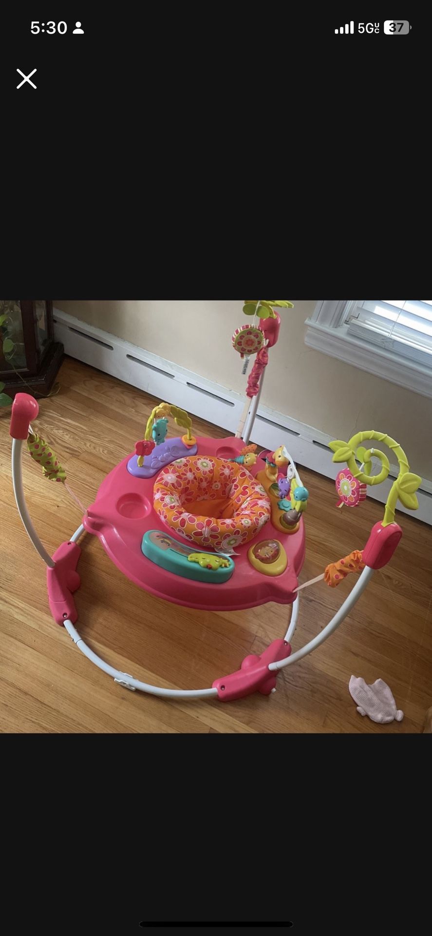 Fisher-Price Bouncer