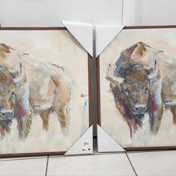 Decoration Buffalo Pictures 