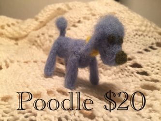 Poodle dog