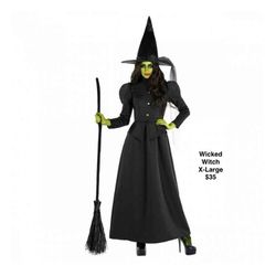 Wicked witch Halloween costume