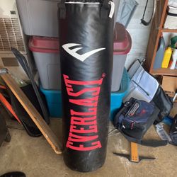 100LB Everlast heavy Bag