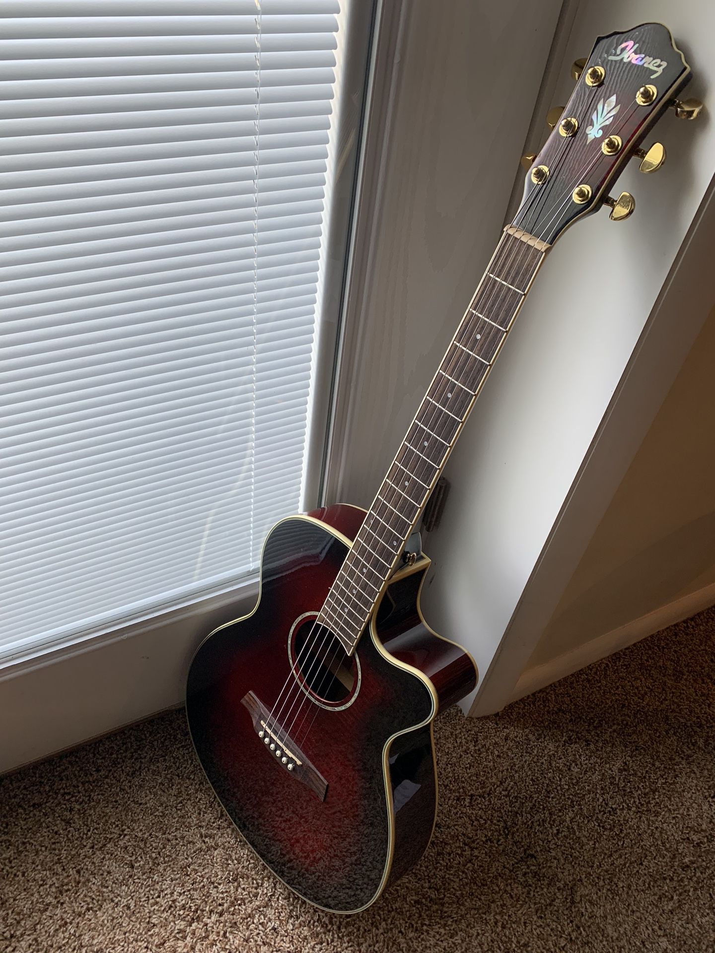 Ibanez AEG20II Acoustic Electric Guitar