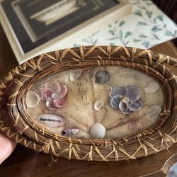 Shell Art Glass Top Decorative Floral 