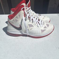 Nike LeBron 10 (X) size 10
