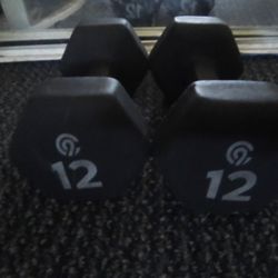 12 Pound Dumbbells 