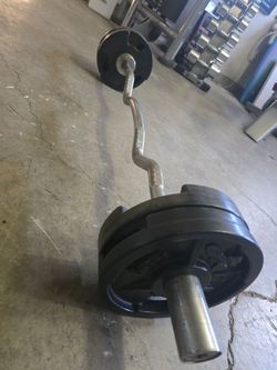 Curl bar with 40lbs of weights