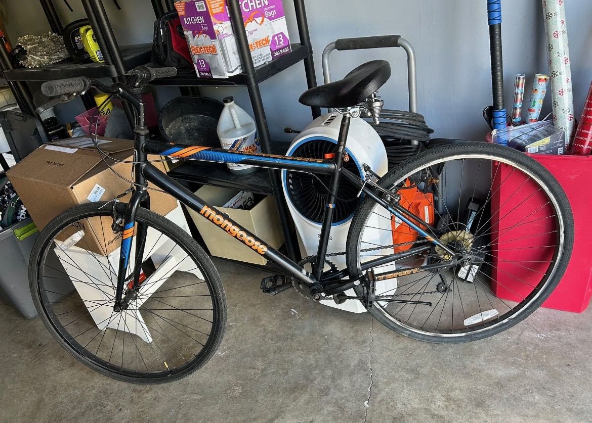 Adult Bike