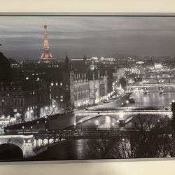 Vintage IKEA framed Paris picture