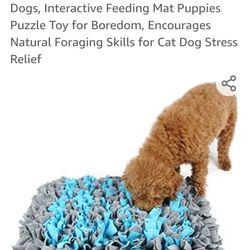  Dog Feeding Matt 