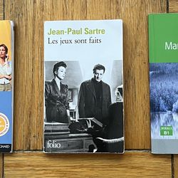 French Class Books - for students learning intermediate French