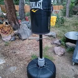 like new Everlast punching bag stand.. Bought and never used
