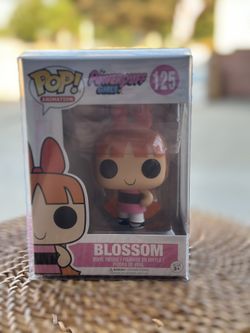 Powerpuff Girls Set Funkos - Blossom, Bubbles, Buttercup, Mojo Jojo & Him 