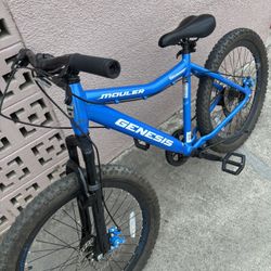 Genesis Mauler 24”bike Exelent Condition Disc Brakes Front Suspension 8 Speed 120$$ Cash 