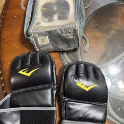 Everlast Boxing gloves
