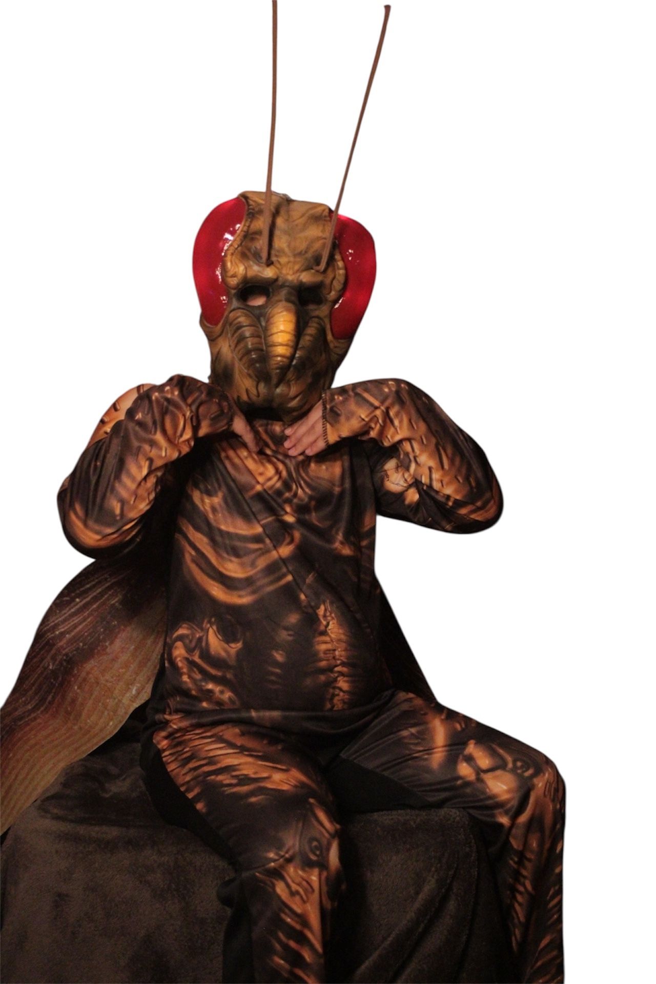 Kids Roach Costume