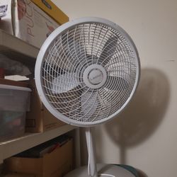 Lasko Fan