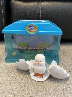 Little Live Pets sets