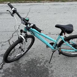 Trek Skye Series Bike 