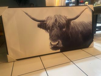 Highland cow canvas !NEW!