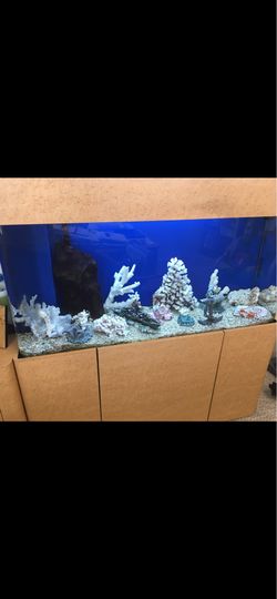 75 gallon custom made acrylic fish tank