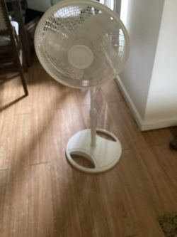 Fan