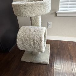 Cat Scratcher 