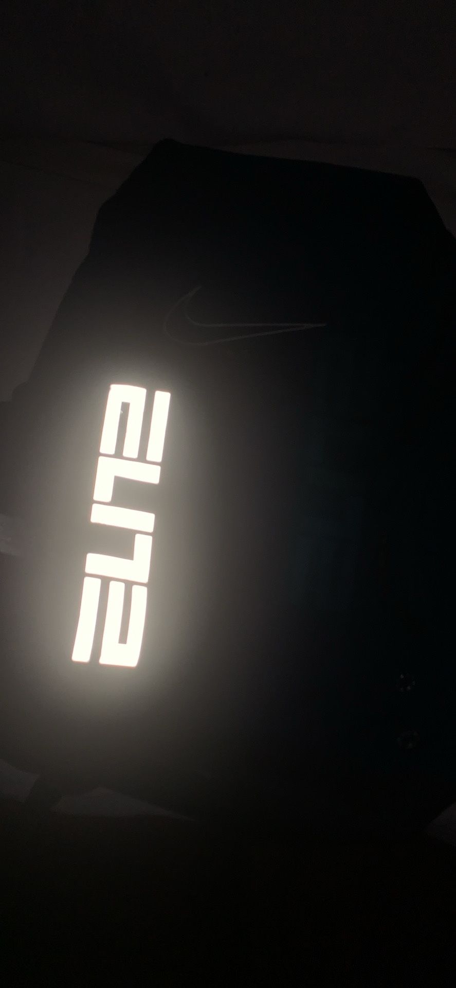 Nike Elite Bag