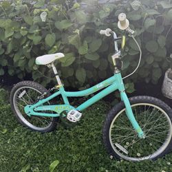 Fuji Girl’s Bike - 20”
